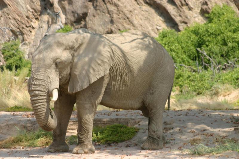 Fort Sesfontein Lodge & Safaris Екстер'єр фото